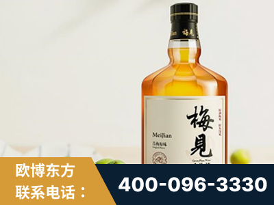 沧州-梅见青梅酒
